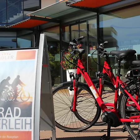 Seehotel Adler מלון בודמן-לודוויגסהפן