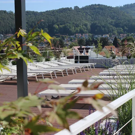 Seehotel Adler Bodman-Ludwigshafen