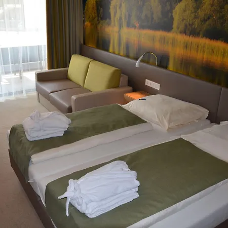 Seehotel Adler מלון 4*