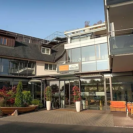 Seehotel Adler מלון בודמן-לודוויגסהפן