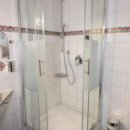 מלון Seehotel Adler 4*