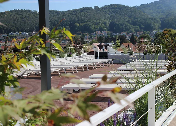 Seehotel Adler Бодман-Людвигсхафен